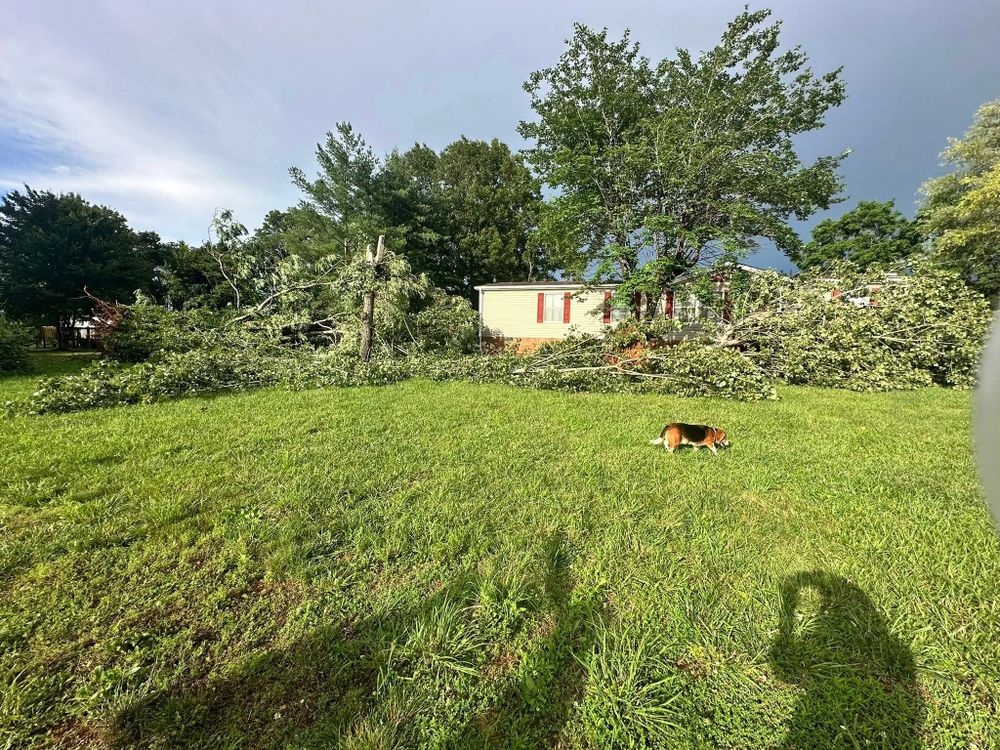 Our Storm Damage Clean-Up service efficiently restores your property by removing debris, repairing damage, and ensuring safety. Trust our expert team to swiftly return your landscape to its pristine condition. for Adkins Solutions LLC in Goodview, VA