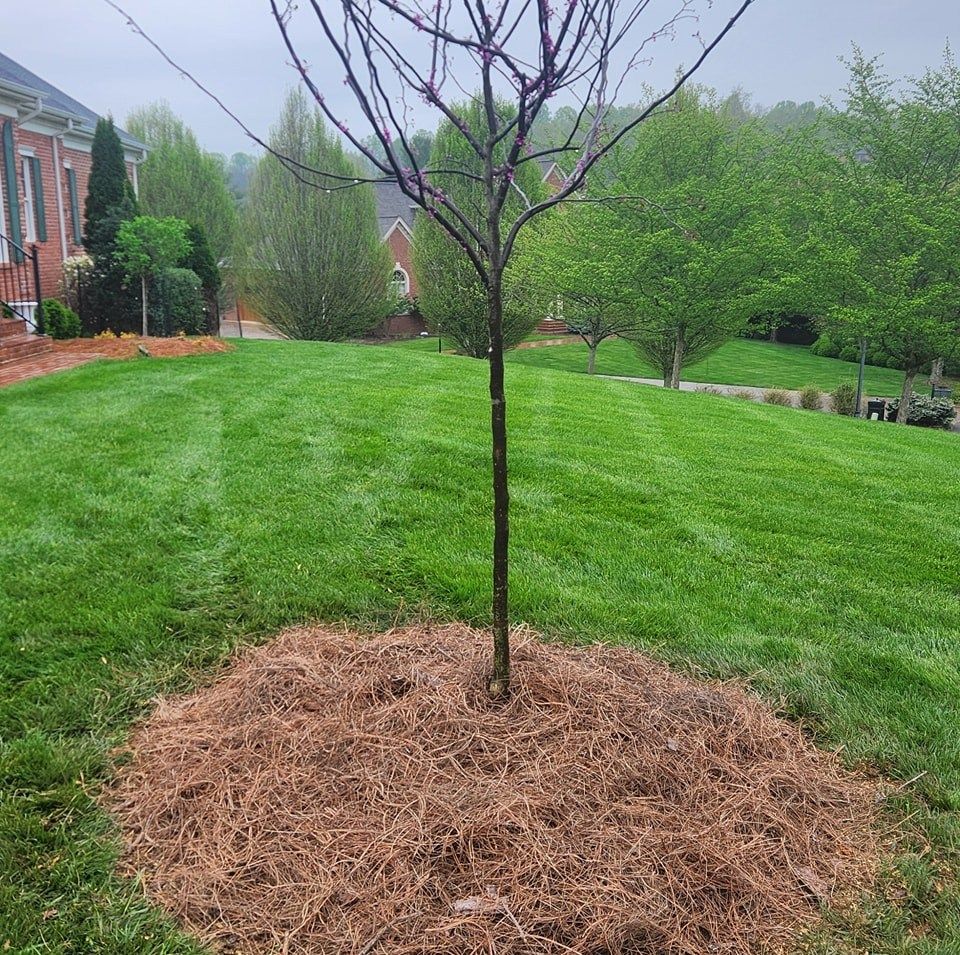 All Photos for Simply Natural Landscape in Abingdon, VA