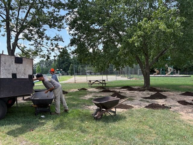 All Photos for Reiser Lawn Service in Denver, North Carolina