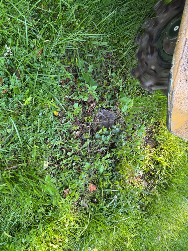 All Photos for Conrad's Stump Removal in Columbus, IN