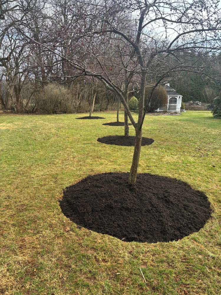 All Photos for Backyard Acres Lawncare LLC in Chambersburg, PA