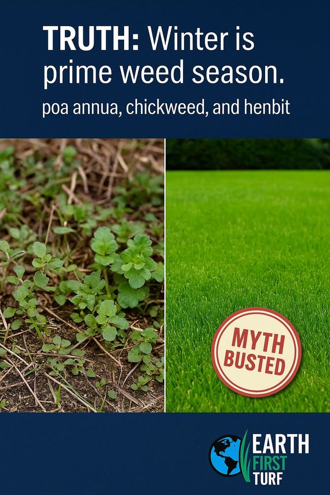 All Photos for Earth First Turf, LLC in Cherokee County, GA