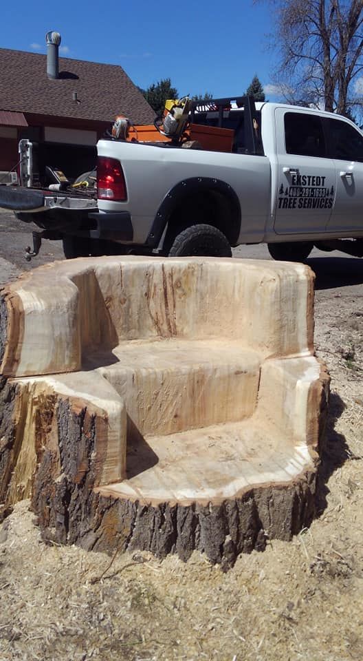Our stump removal service efficiently eliminates unsightly tree stumps, enhancing your yard's appearance and preventing potential hazards, while promoting healthy growth for your landscape's long-term beauty and safety. for Ekstedt Tree Services in Troy, MT