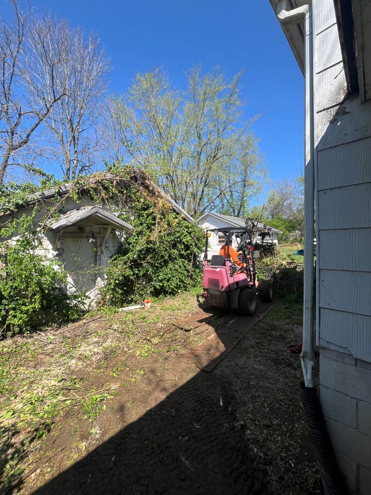 All Photos for Curtis Tree Service LLC in Hopkins County, KY
