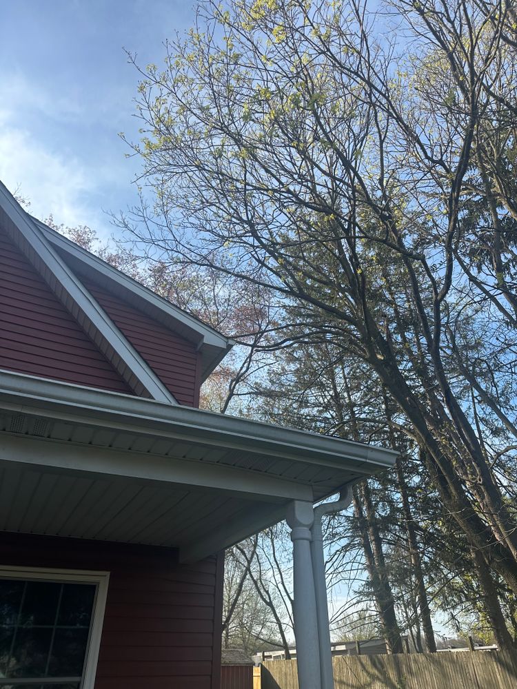 All Photos for Loockerman's Tree and Stump Removal in Dover, DE