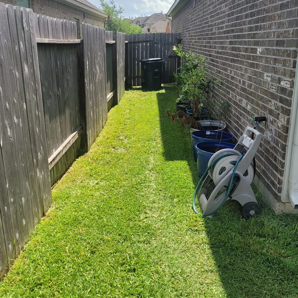 Lawn Care for T.W. Lawn Care in Pearland, TX