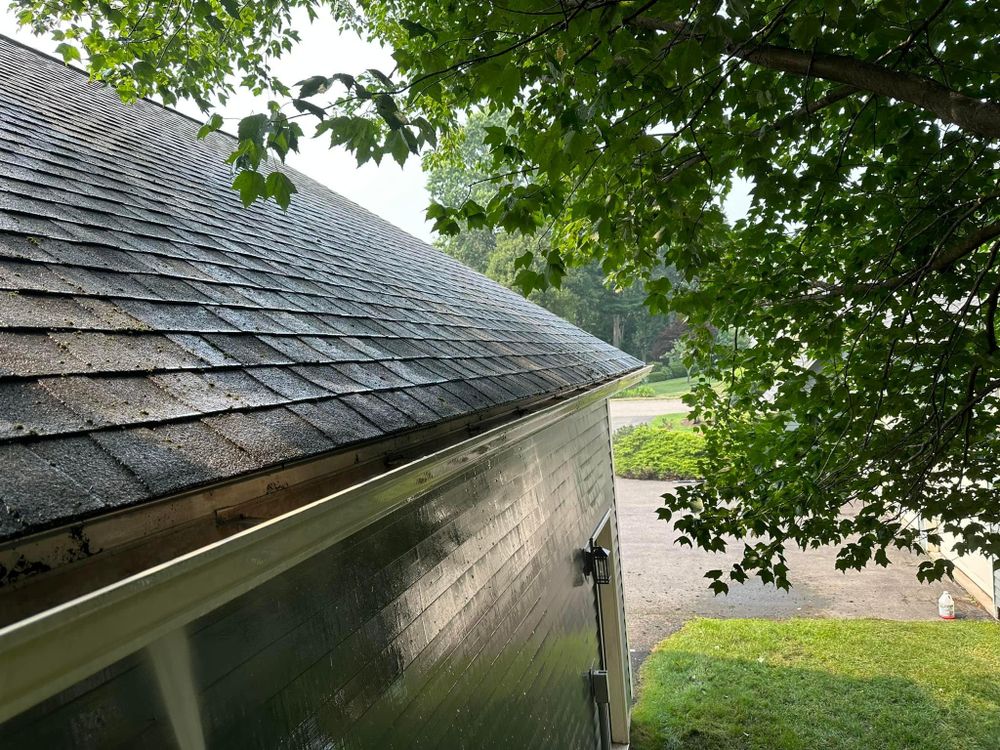 All Photos for Suter & Sons Painting in Amherst, Western Massachusetts