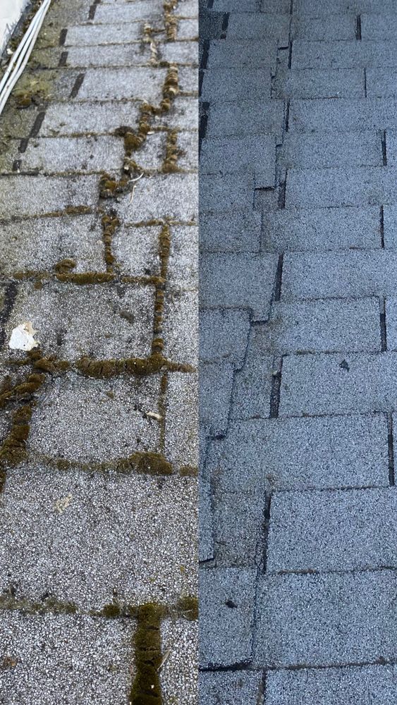 All Photos for Elite Shine Property Services: The #1 Choice for Window & Exterior Cleaning in South OC in Orange county, CA