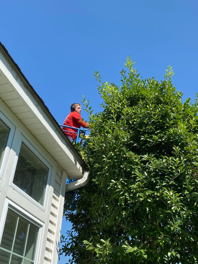 Fall Clean Up for Freedom Works Lawnscaping in Dyer County, Tennessee