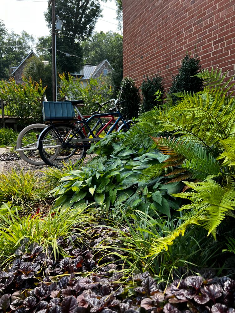 All Photos for Christina King Landscape Design in West Raleigh, NC