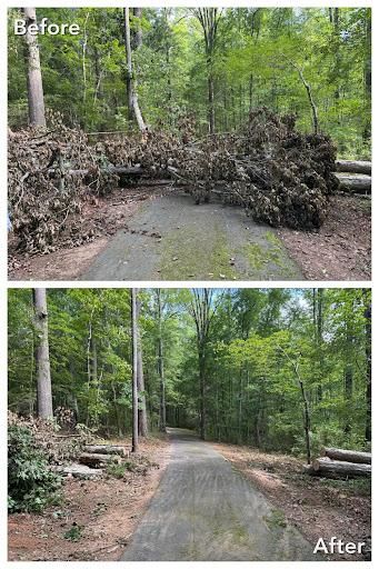 Brush Cutting and Removal for Fayette Property Solutions in Fayetteville, GA