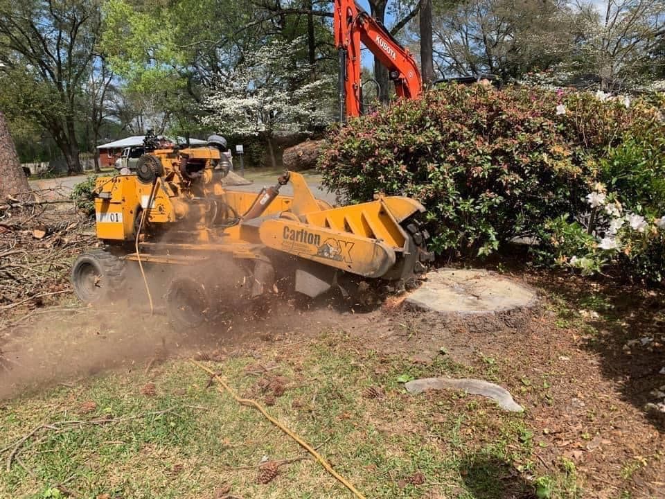 Tree Removal for Coastal Tree & Stump in Charleston, SC