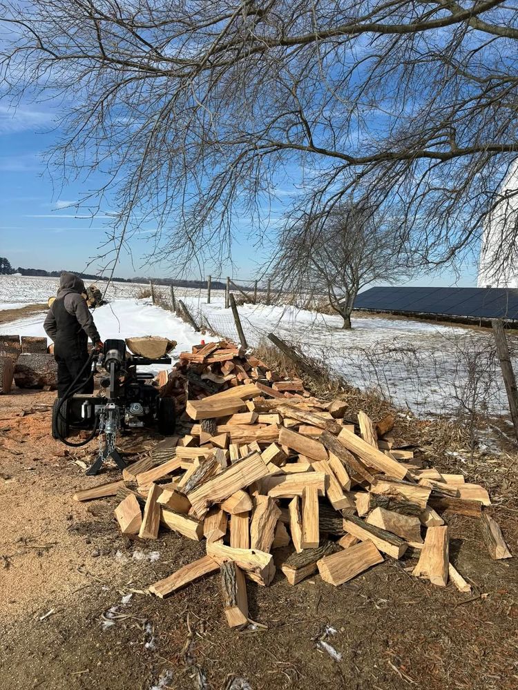 Looking for high-quality firewood to keep your home warm and cozy? We offer premium firewood bundles that are perfectly seasoned and ready to burn. Whether you’re heating your home, enjoying a backyard fire pit, or stocking up for camping trips, we’ve got you covered! for Melnyk’s Tree Service in Salem County, NJ