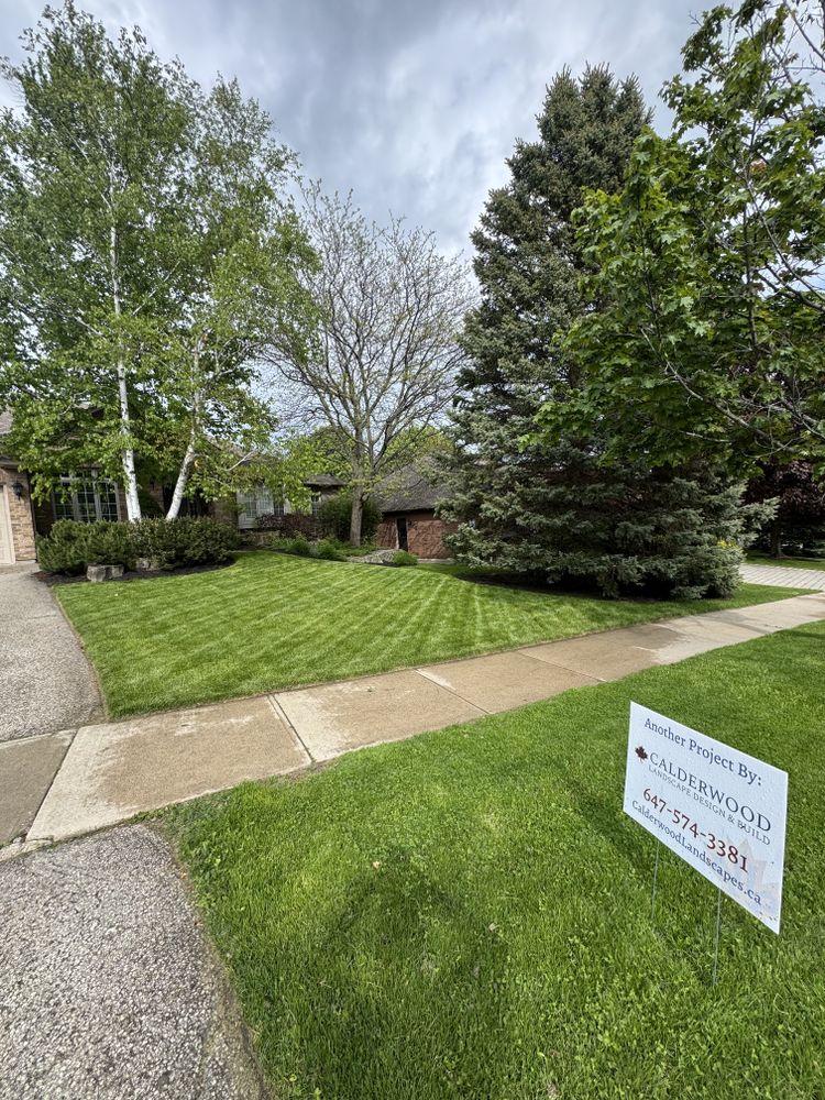 Our Lawn Care & Property Maintenance service offers custom plans to fit each clients specific needs. for Calderwood Landscapes in Oakville, ON