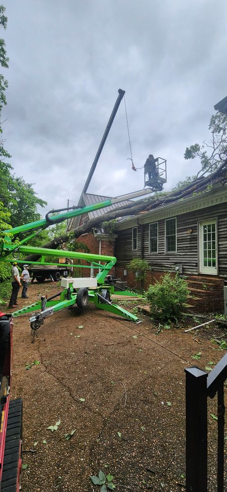 All Photos for Tree Fellers in Sumner County, TN