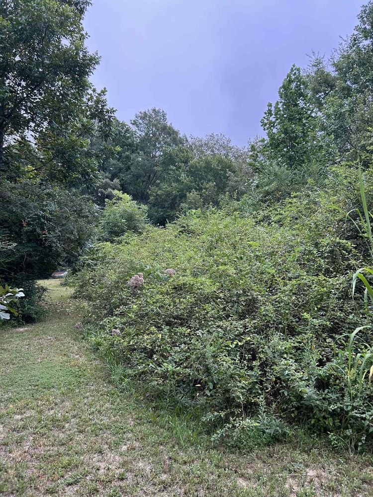 All Photos for Z's Land Management & Forestry Mulching in Smithville, TN