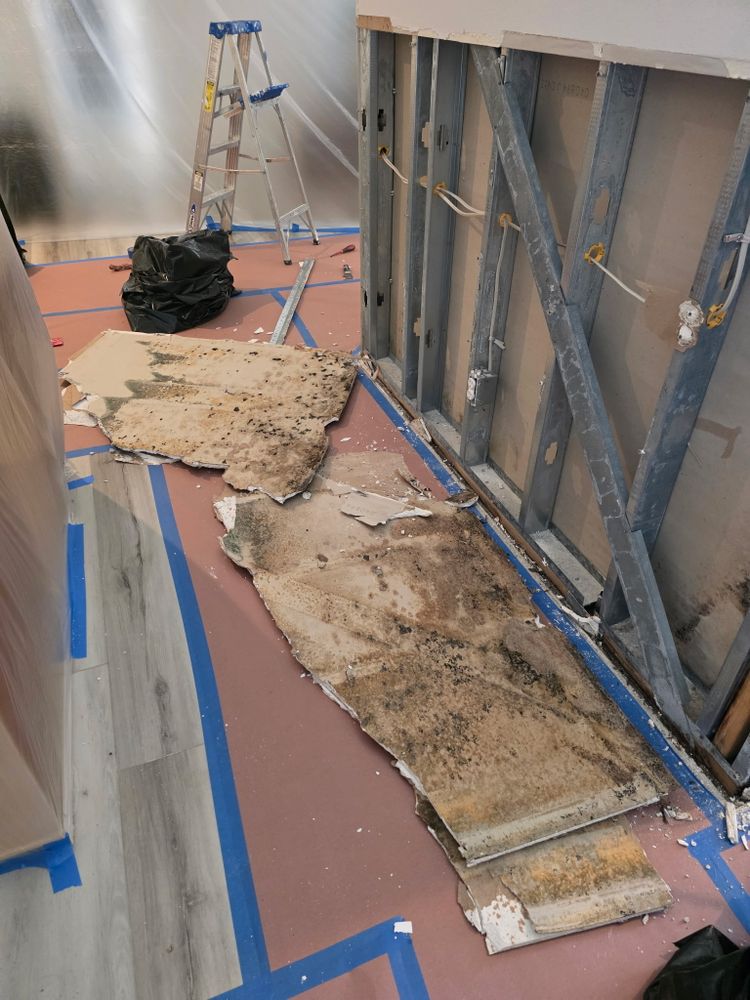 All Photos for Titan Remediation Industries in West Palm Beach, FL