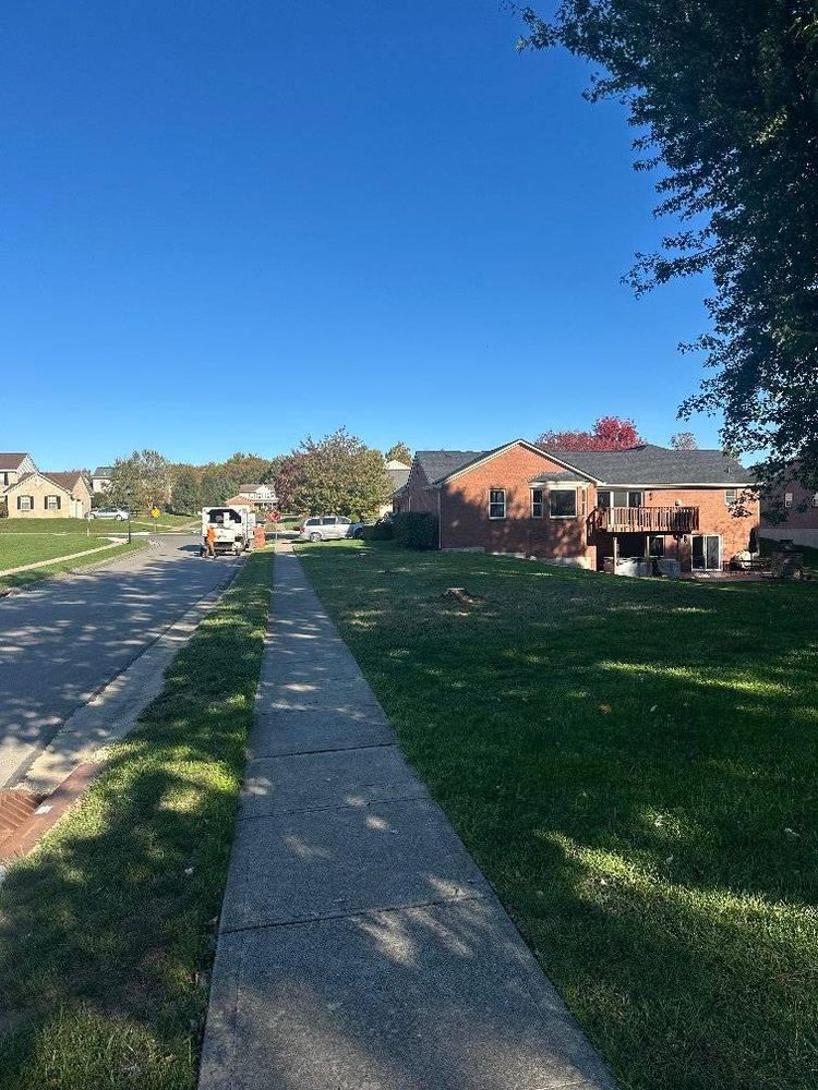 All Photos for Kingdom Tree Trimming and Removal LLC in Covington, KY