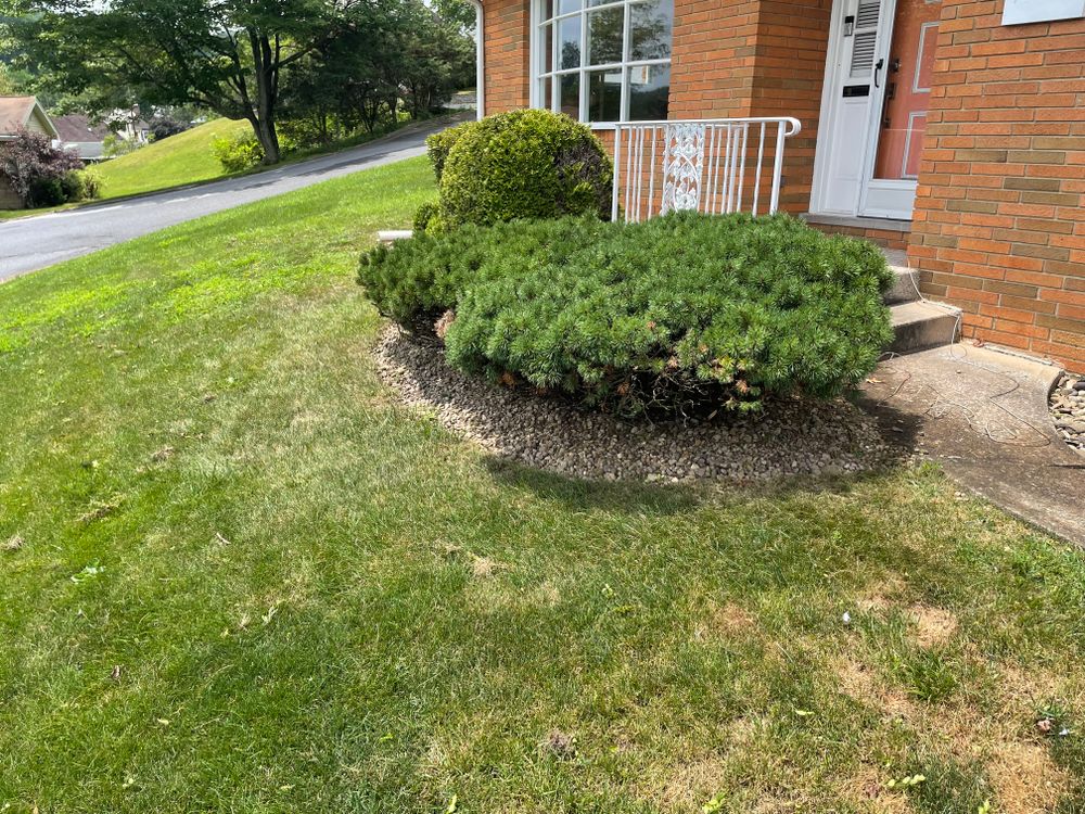 All Photos for Bryant Property Solutions in Altoona, PA