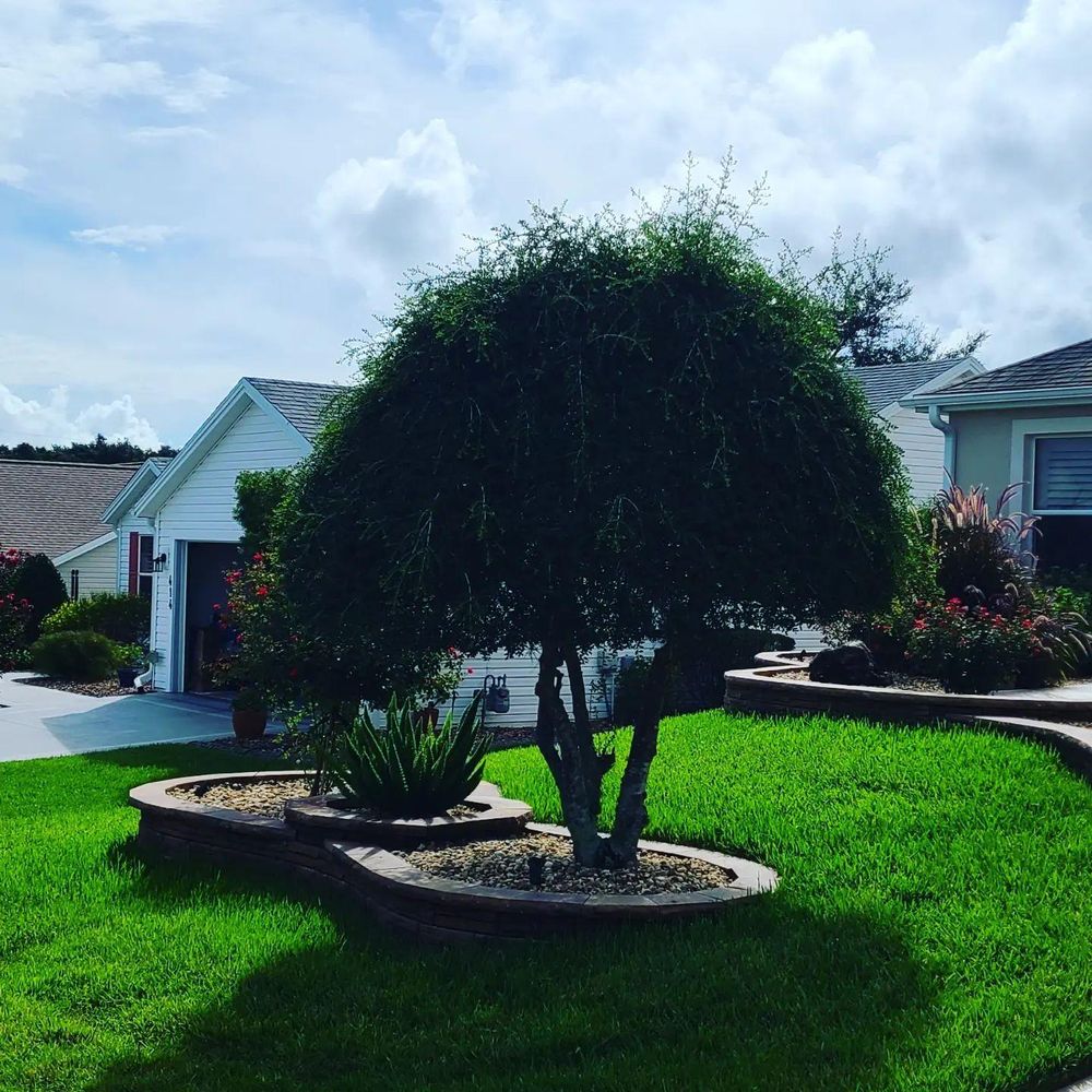 All Photos for TopNotch Landscaping Services  in The Villages, FL