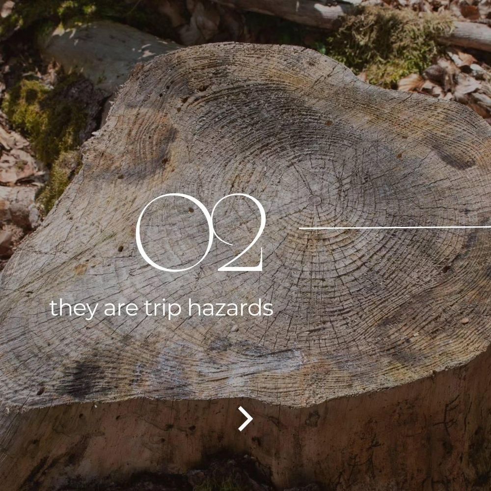 All Photos for Oakwood Tree Removal LLC in Oak Creek,  WI