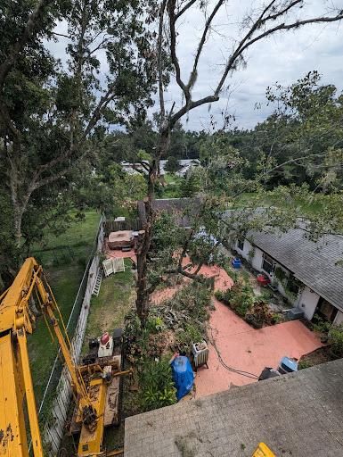 All Photos for Regal Tree Service and Stump Grinding in Wauchula, FL