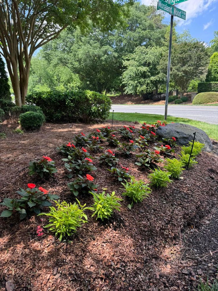 All Photos for Southern Turf & Landscape in Concord, NC