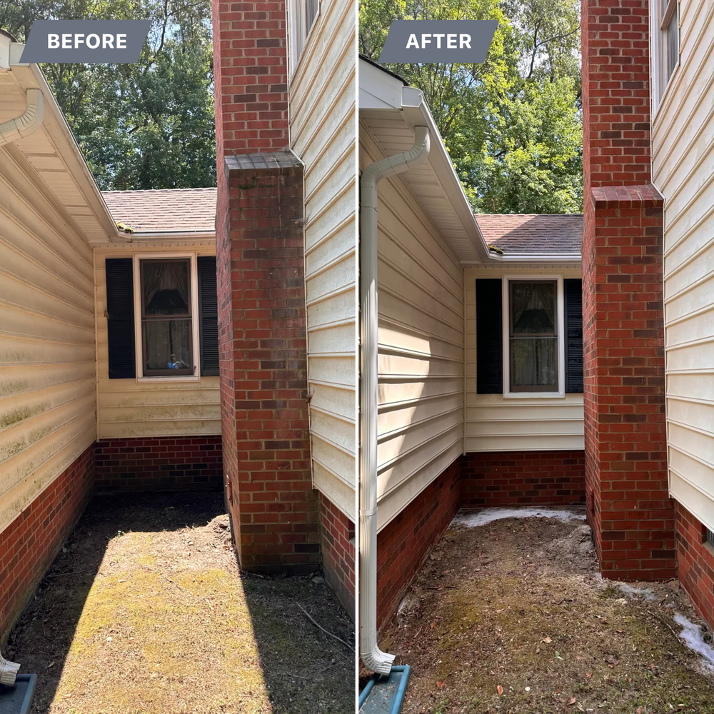 All Photos for LeafTide Solutions in Richmond, VA