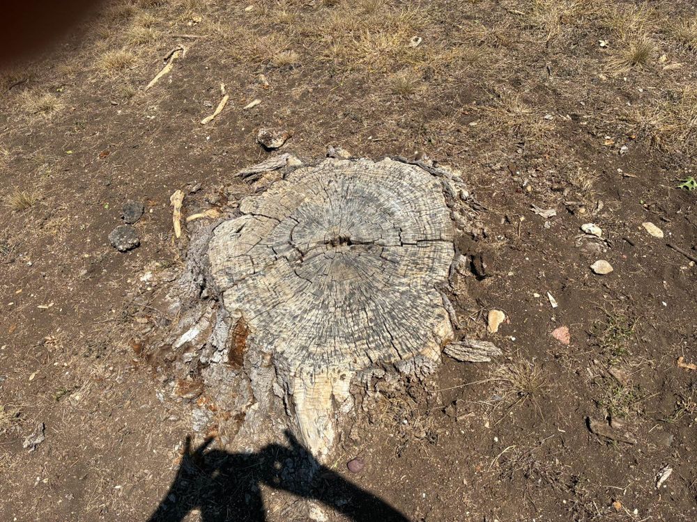 All Photos for C & C Lawn Care and Maintenance in New Braunfels, TX