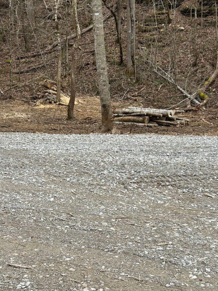 All Photos for Z's Land Management & Forestry Mulching in Smithville, TN