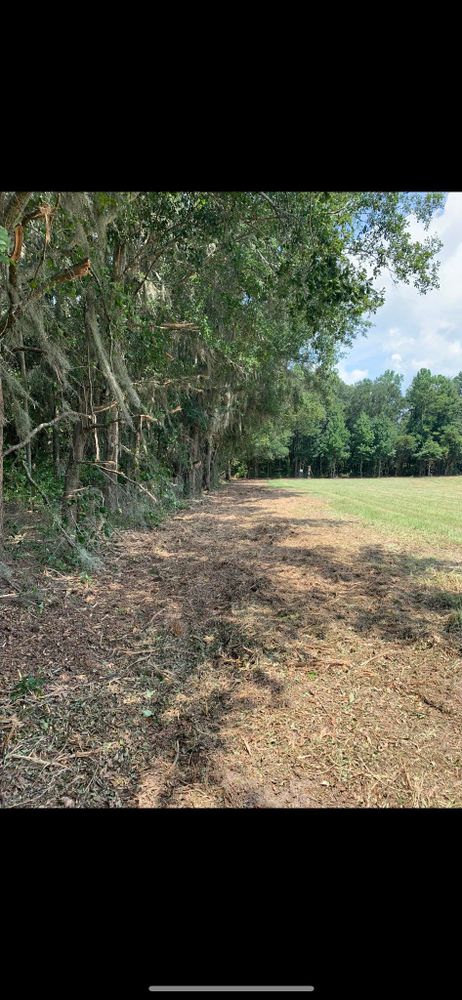 Tree Removal for Thompson Forestry Mulching & Stump Grinding in Douglas, GA