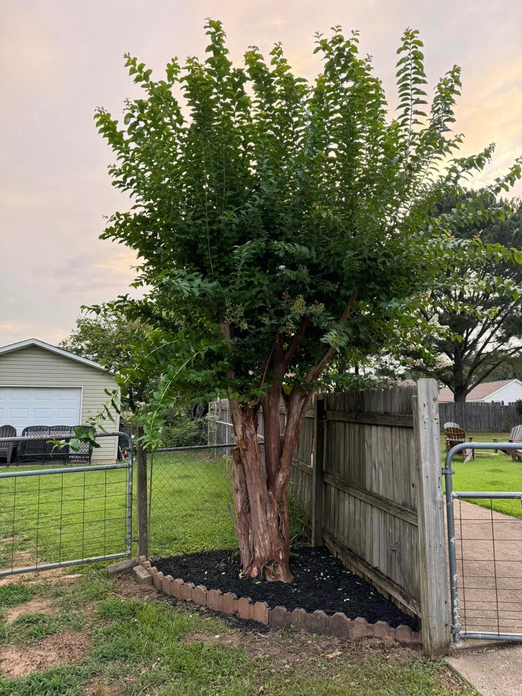 All Photos for Precision Lawn & Landscape in Florence,  AL