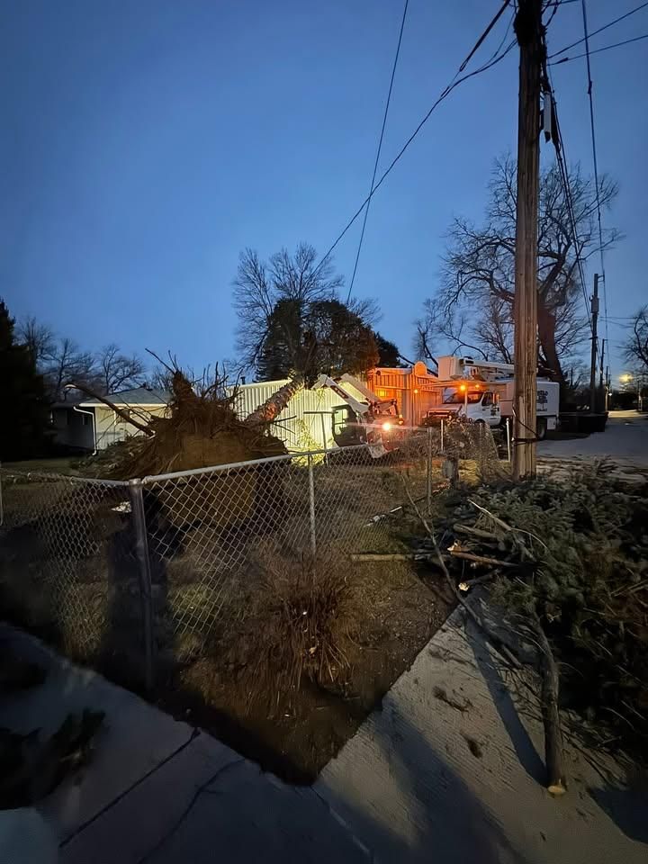 All Photos for Clean Cut Tree Service in Gillette, WY