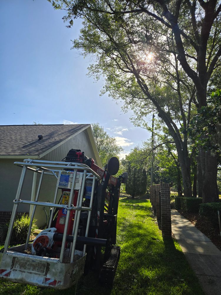 All Photos for Near Me Tree Service, Inc. in DeLand, FL