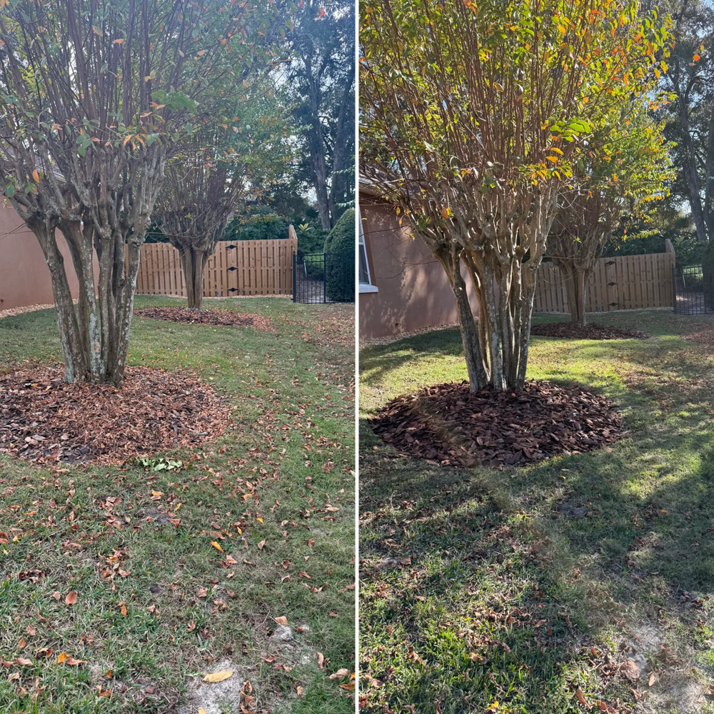 All Photos for Amerigrown Tree And Lawn in Apopka, FL