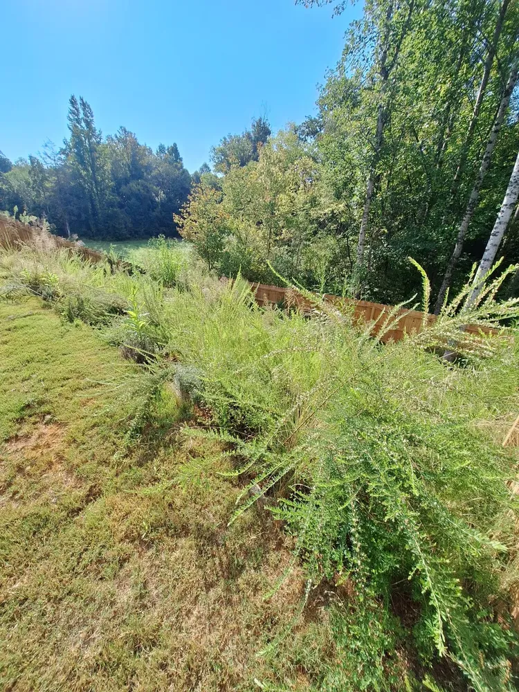 All Photos for Olmedo Home Services in Davie County, NC