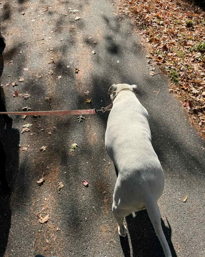 All Photos for Property Perfect LLC in Goffstown, NH