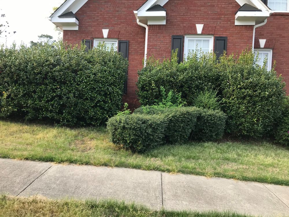 Shrub trimming can transform your property. Our experienced landscapers will rid your home overgrowth and keep your shrubs looking immaculate. for Prime Lawn LLC in Conyers, GA