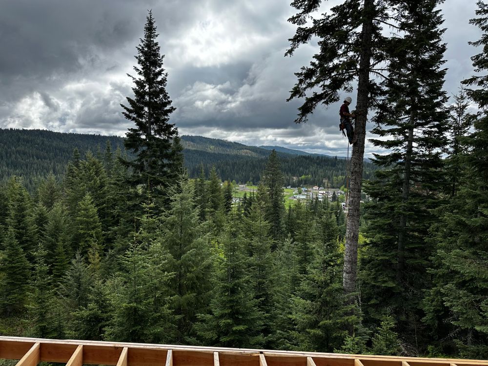 Tree Removal for Kimberley’s Trees in Saint Maries, ID
