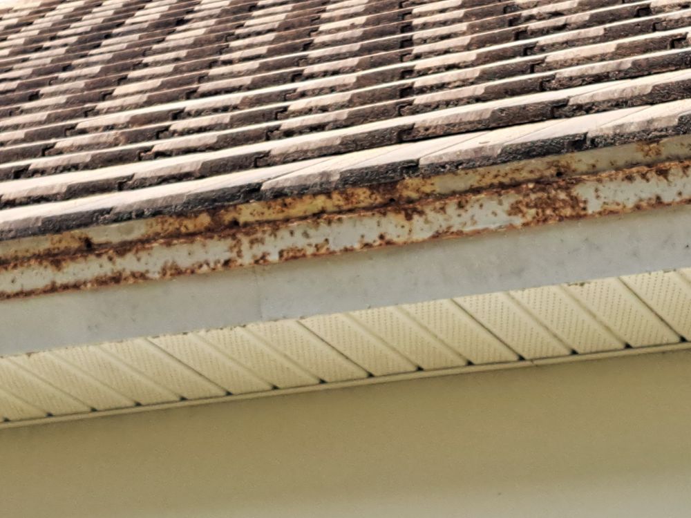 Revitalize your home's surfaces with our rust treatments, protecting and enhancing longevity. Our team removes rust efficiently, taking all the steps necessary to stop it from spreading and to prevent it from coming back. for Red Knight Painting in Daytona Beach, FL