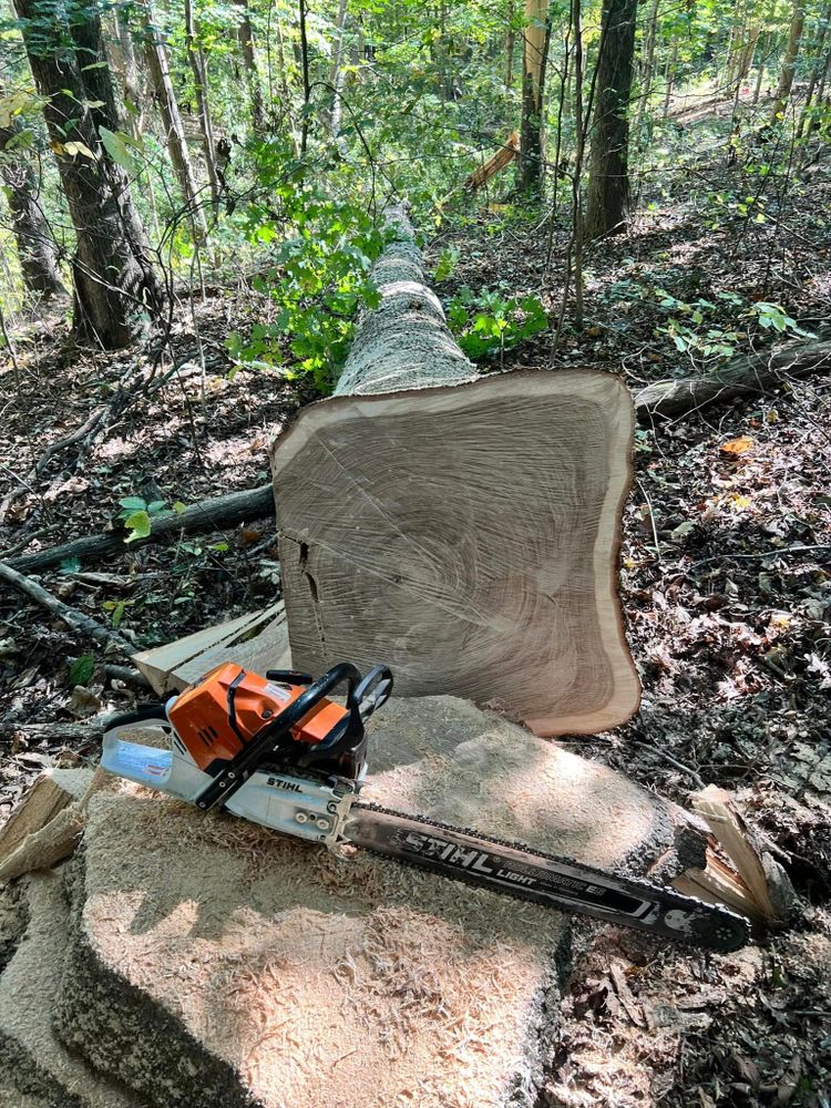 Our Tree Removal service offers safe and efficient removal of unwanted or hazardous trees, ensuring your property's safety and enhancing its appearance. Count on our expert team for reliable, professional care. for Kadin’s Tree Service in North Vernon, IN