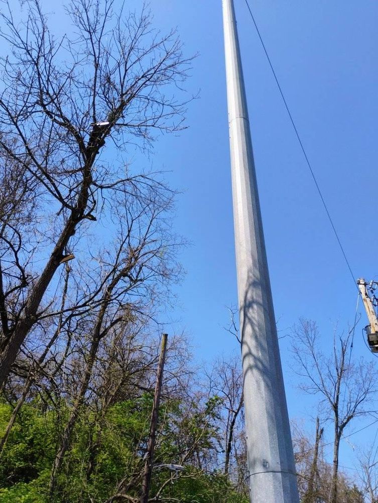 All Photos for Kingdom Tree Trimming and Removal LLC in Covington, KY