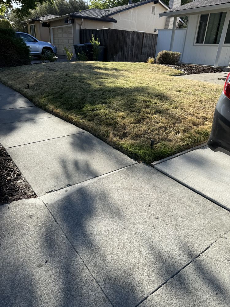 All Photos for CBA Landscaping in Hayward, CA