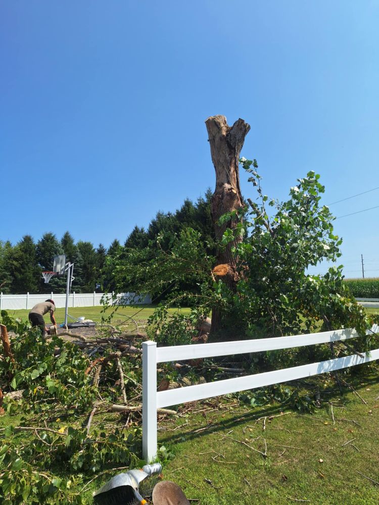 All Photos for Highborn Tree Service in Wheatfield, IN