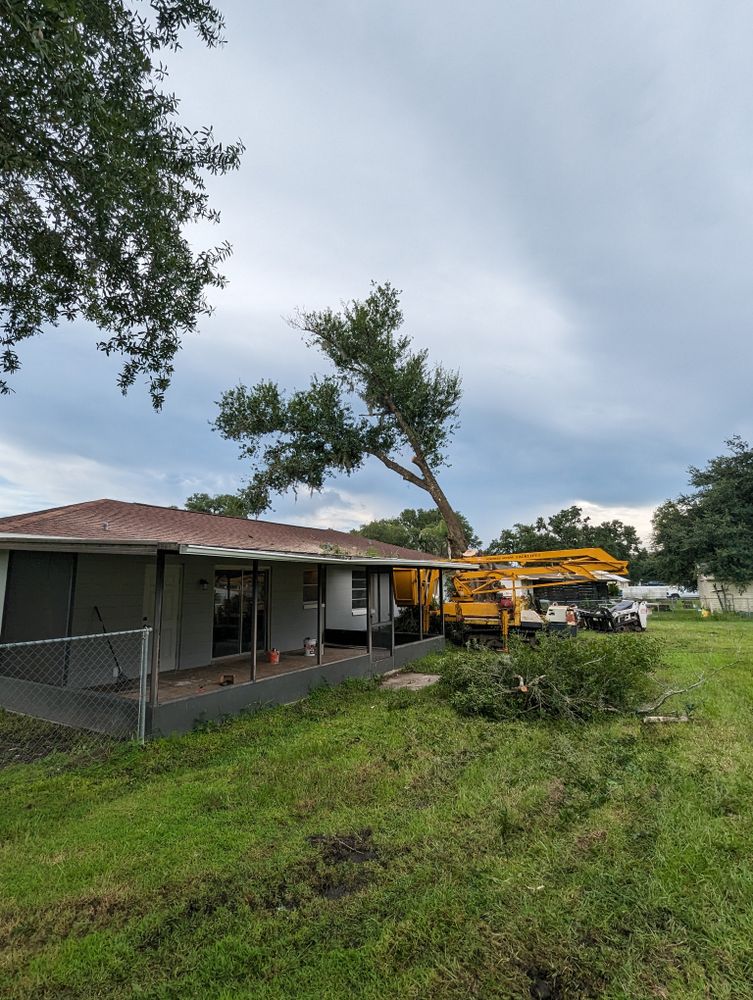 All Photos for Regal Tree Service and Stump Grinding in Wauchula, FL