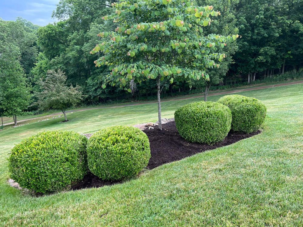 Green Sweep Lawn and Landscape team in Eureka, MO - people or person