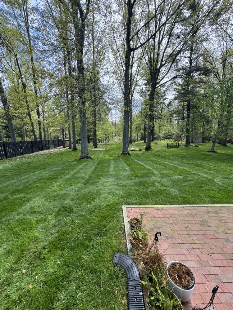 All Photos for Yard Theory L.L.C. in Willowick, OH
