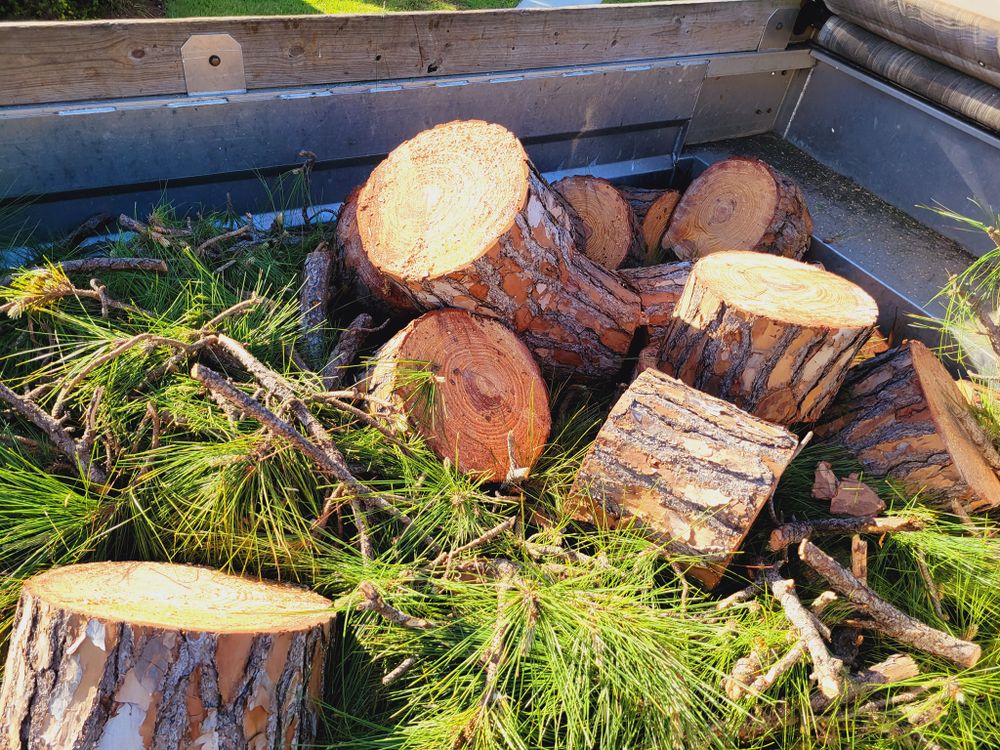 Our Tree Trimming & Removal service ensures your landscape stays healthy and safe. We offer professional shrub trimming, maintaining the beauty and balance of your outdoor space while enhancing curb appeal. for L & J Palm Tree & Lawn Care Services in Jupiter, FL