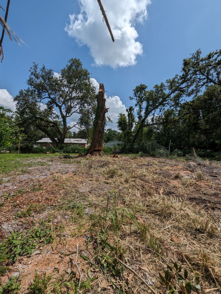 All Photos for Regal Tree Service and Stump Grinding in Wauchula, FL