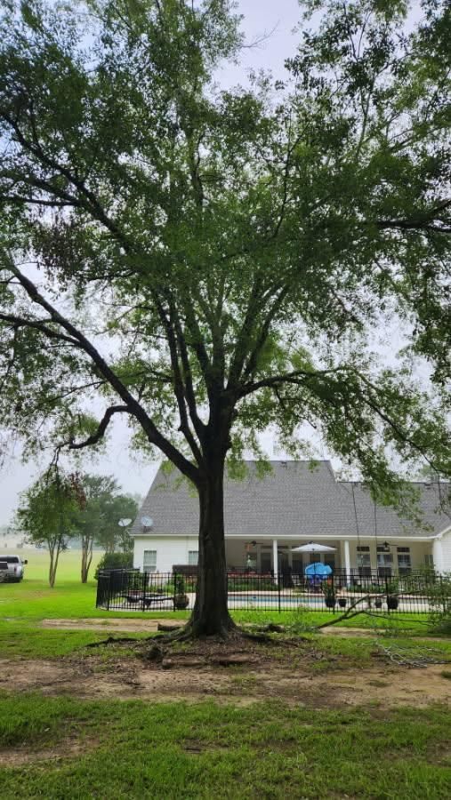 All Photos for Ken's Elite Cutters LLC  in Breaux Bridge, LA